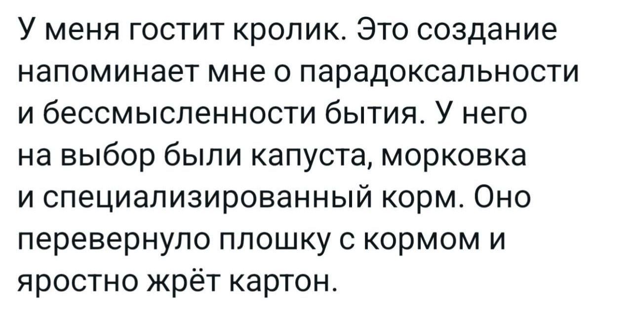 У меня гостит кролик. Это создание напоминает мне о парадоксальности и бессмысленности бытия. У него на выбор были капуста, морковка и специализированный корм. Оно перевернуло плошку с кормом и яростно жрёт картон.