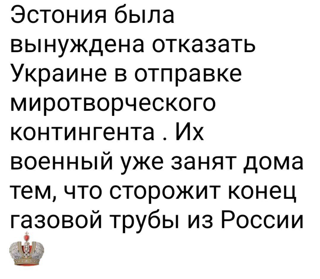 Эстония была вынуждена отказать Украине в отправке миротворческого контингента. Их военный уже занят дома тем, что сторожит конец газовой трубы из России.