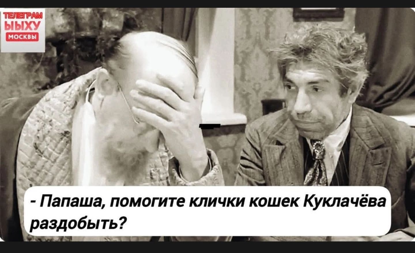 - Папаша, помогите клички кошек Куклачёва раздобыть?