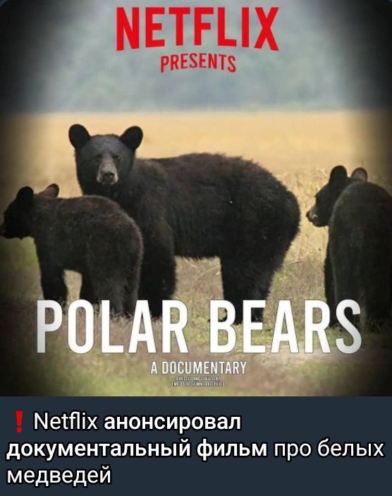 ❗ Netflix анонсировал документальный фильм про белых медведей