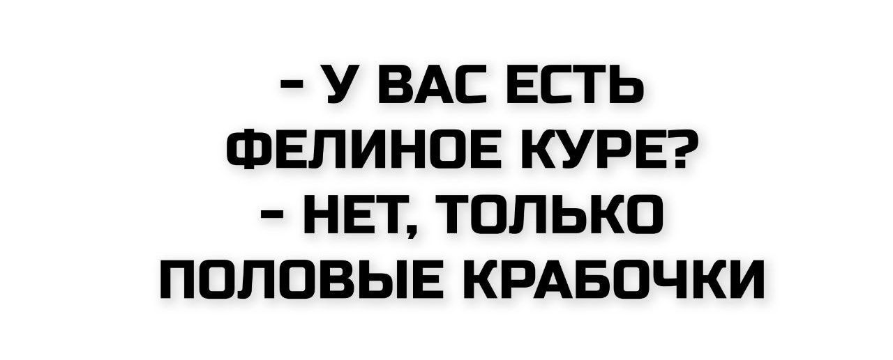 - У ВАС ЕСТЬ ФЕЛИНОЕ КУРЕ?
- НЕТ, ТОЛЬКО ПОЛОВЫЕ КРАБОЧКИ