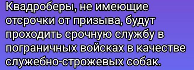 Квадроберы, не имеющие отсрочки от призыва, будут проходить срочную службу в пограничных войсках в качестве служебно-строжевых собак.