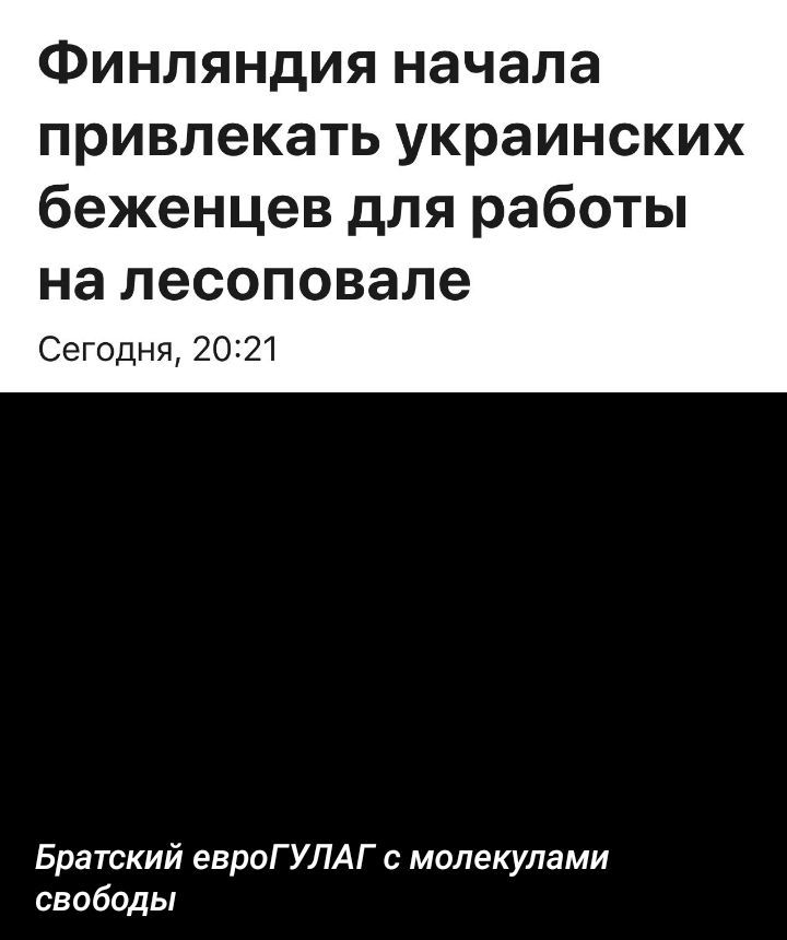 Финляндия начала привлекать украинских беженцев для работы на лесоповале
Сегодня, 20:21
Братский евроГУЛАГ с молекулами свободы