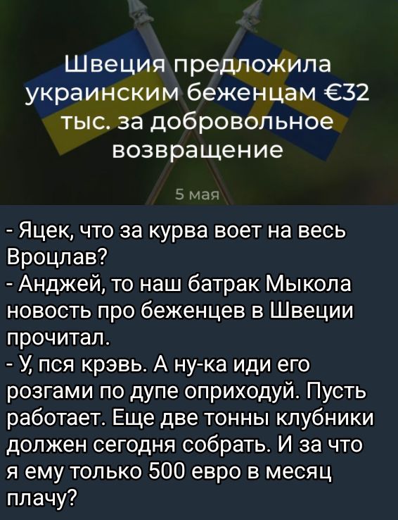Швеция предложила украинским беженцам €32 тыс. за добровольное возвращение

5 мая

- Яцек, что за курва воет на весь Вроцлав?  
- Анджей, то наш батрак Мыкола новость про беженцев в Швеции прочитал.  
- У, пся крьвь. А ну-ка иди его розгами по дупе оприходуй. Пусть работает. Еще две тонны клубники должен сегодня собрать. И за что я ему только 500 евро в месяц плачу?
