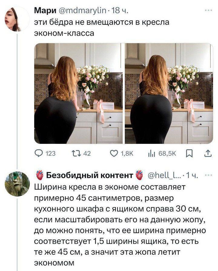 эти бёдра не вмещаются в кресла эконом-класса
Ширина кресла в экономе составляет примерно 45 сантиметров, размер кухонного шкафа с ящиком справа 30 см, если масштабировать его на данную жопу, то можно понять, что ее ширина примерно соответствует 1,5 ширины ящика, то есть это 45 см, а значит эта жопа летит экономом