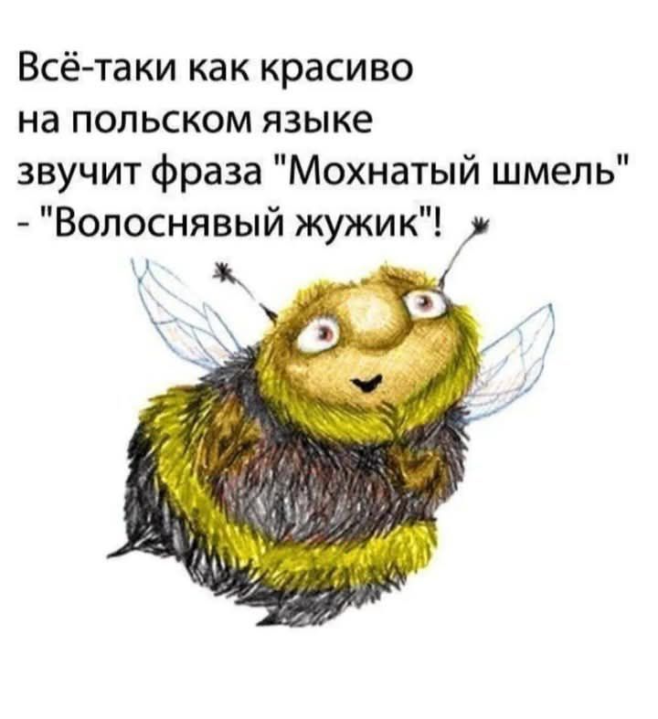 Всё-таки как красиво на польском языке звучит фраза 