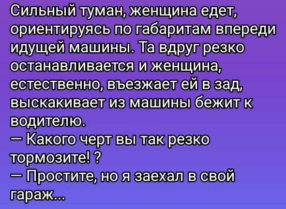 Сильный туман, женщина едет, ориентируясь по габаритам впереди идущей машины. Та вдруг резко останавливается и женщина, естественно, выезжает ей в зад, выскакивает из машины бежит к водителю.
— Какого черта вы так резко тормозите!? 
— Простите, но я заехал в свой гараж...