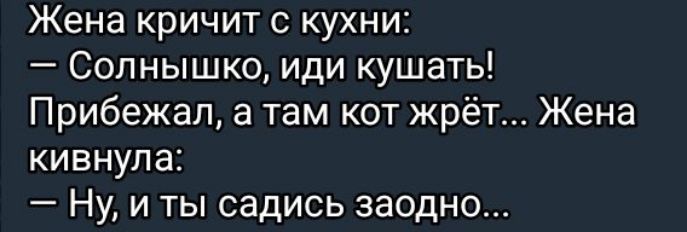 Жена кричит с кухни:
— Солнышко, иди кушать!
Прибежал, а там кот жрёт... Жена кивнула:
— Ну, и ты садись заодно...