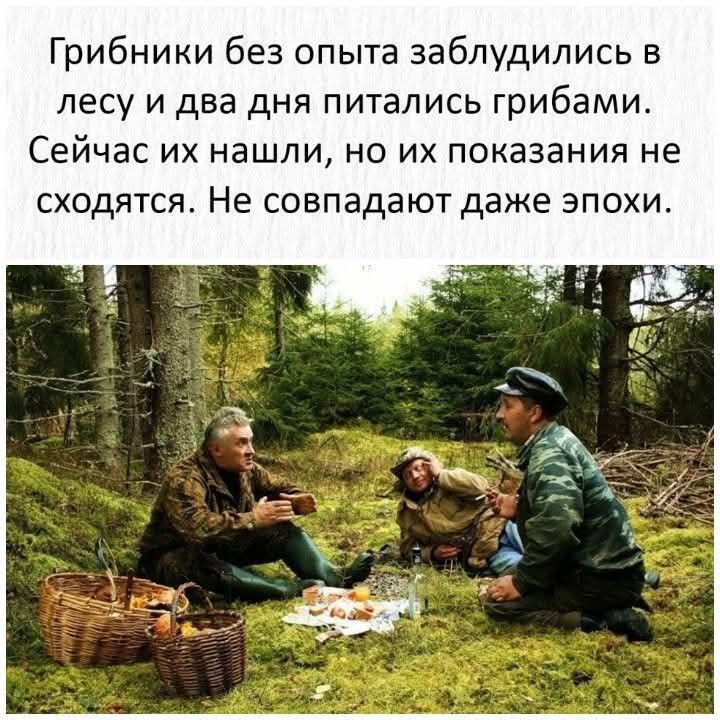 Грибники без опыта заблудились в лесу и два дня питались грибами.
Сейчас их нашли, но их показания не сходятся. Не совпадают даже эпохи.