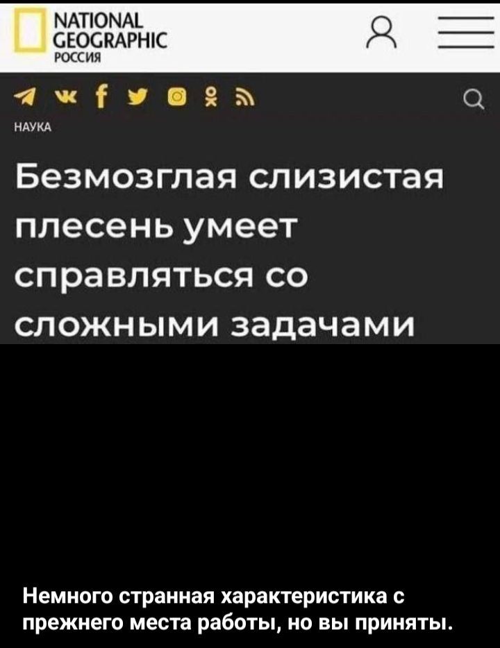 Безмозглая слизистая плесень умеет справляться со сложными задачами

Немного странная характеристика с прежнего места работы, но вы приняты.