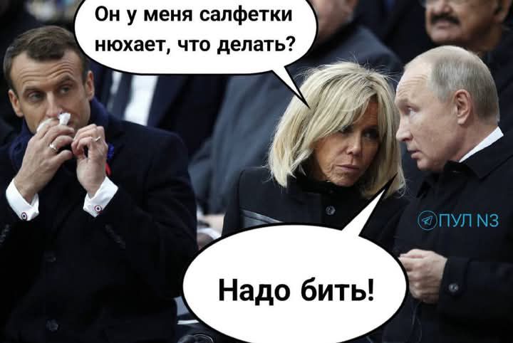 Он у меня салфетки нюхает, что делать? Надо бить!
