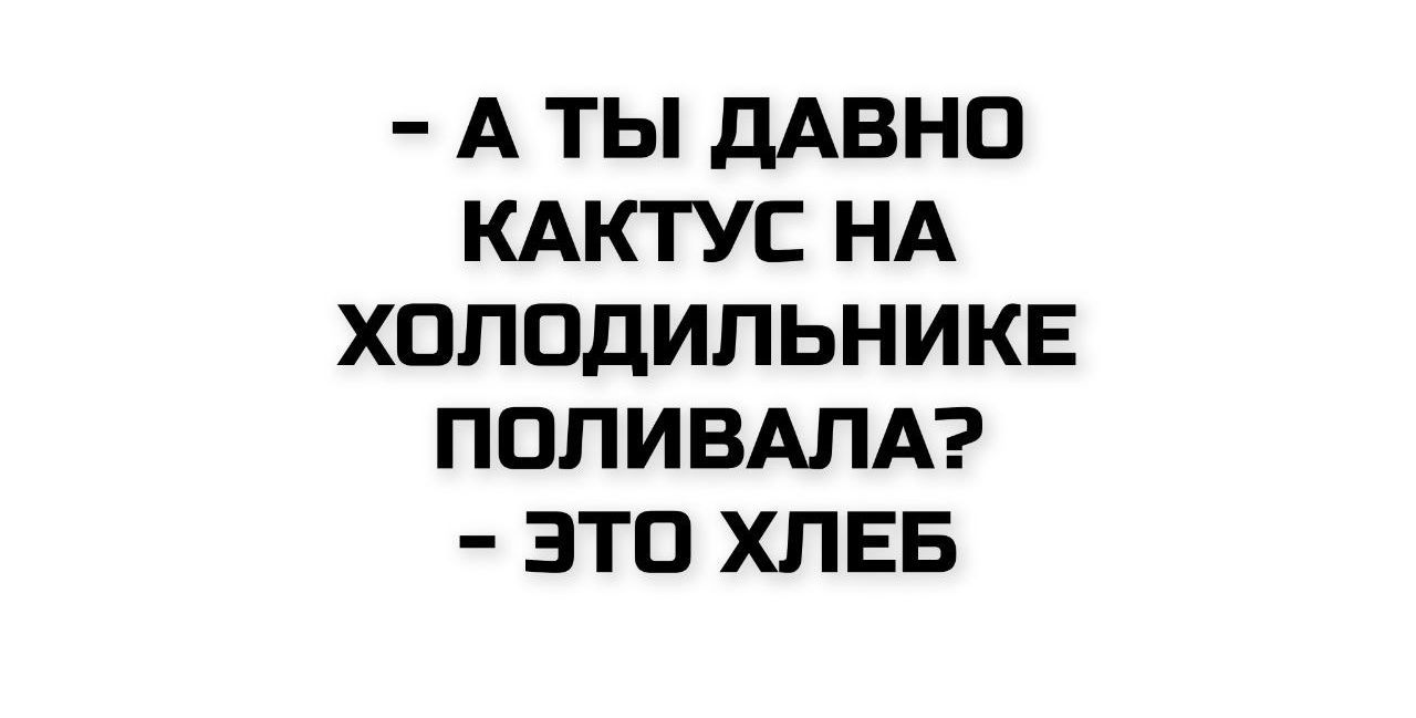 - А ты давно кактус на холодильнике поливала?  - Это хлеб.