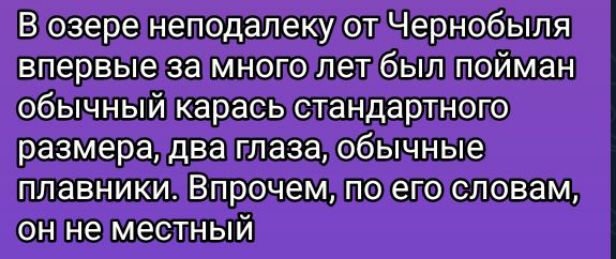 В озере неподалеку от Чернобыля впервые за много лет был пойман обычный карась стандартного размера, два глаза, обычные плавники. Впрочем, по его словам, он не местный.