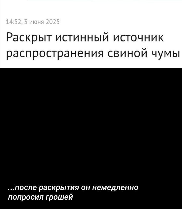 Раскрыт истинный источник распространения свиной чумы...после раскрытия он немедленно попросил грошей