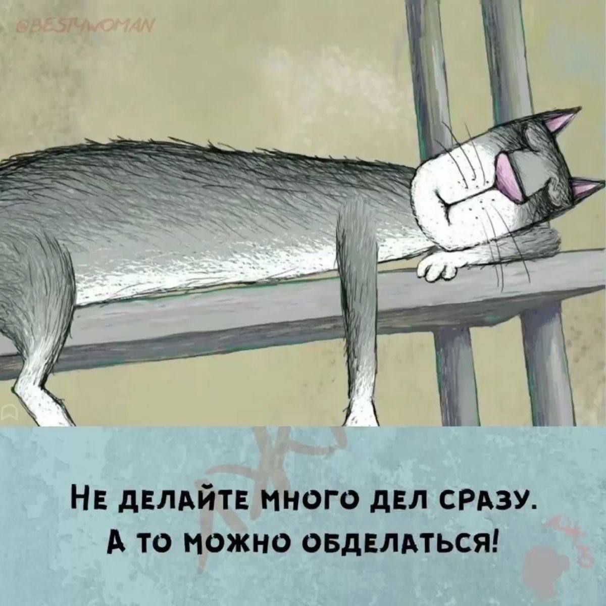 Не делайте много дел сразу. А то можно обделаться!