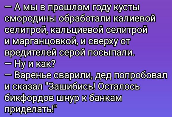 — А мы в прошлом году кусты смородины обработали калиевой селитрой, кальциевой селитрой и марганцовкой, и сверху от вредителей серой посыпали.
— Ну и как?
— Варенье сварили, дед попробовал и сказал 