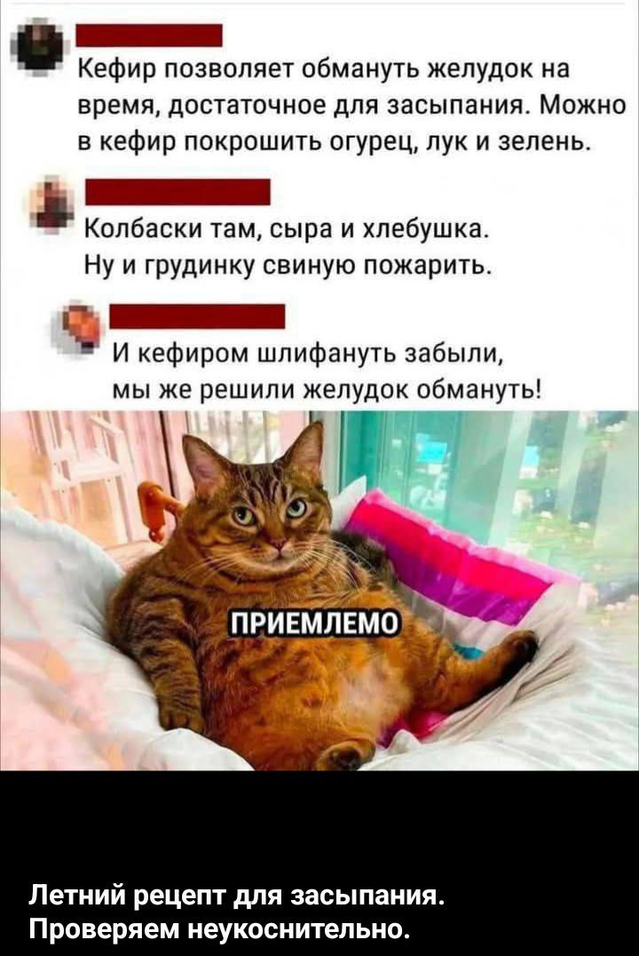 Кефир позволяет обмануть желудок на время, достаточное для засыпания. Можно в кефир покрошить огурец, лук и зелень.
Колбаски там, сыра и хлебушка.
Ну и грудинку свиную пожарить.
И кефиром шлифануть забили,
мы же решили желудок обмануть!

Летний рецепт для засыпания.
Проверяем неукоснительно.