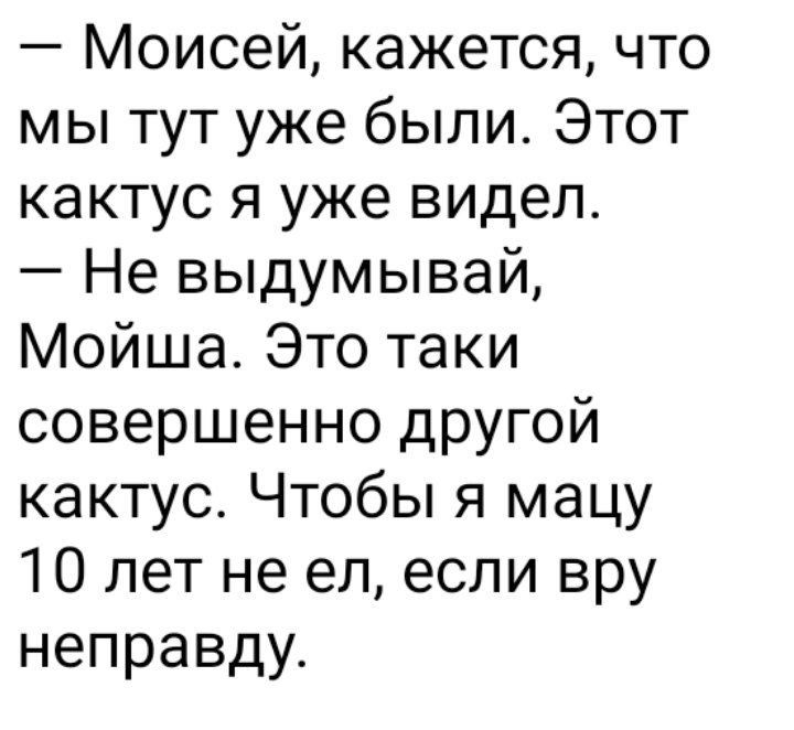 — Моисей, кажется, что мы тут уже были. Этот кактус я уже видел.
— Не выдумывай, Мойша. Это такой совершенно другой кактус. Чтобы я мацу 10 лет не ел, если вру неправду.