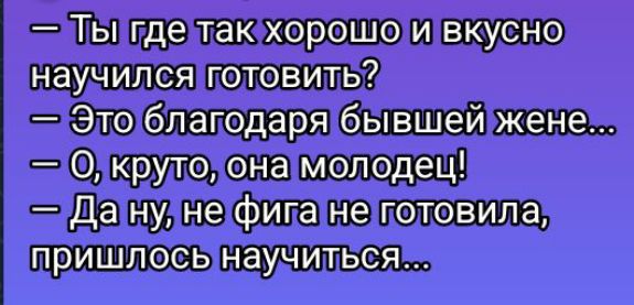 — Ты где так хорошо и вкусно научился готовить?
— Это благодаря бывшей жене...
— О, круто, она молодец!
— Да ну, не фиг не готовила, пришлось научиться...