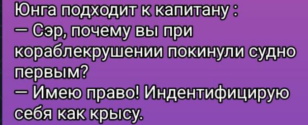 Юнга подходит к капитану :
— Сэр, почему вы при кораблекрушении покинули судно первым?
— Имею право! Идентифицирую себя как крысу.