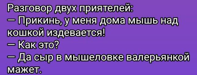Разговор двух приятелей:
— Прикинь, у меня дома мышь над кошкой издевается!
— Как это?
— Да сыр в мышеловке валерьянкой мажет.