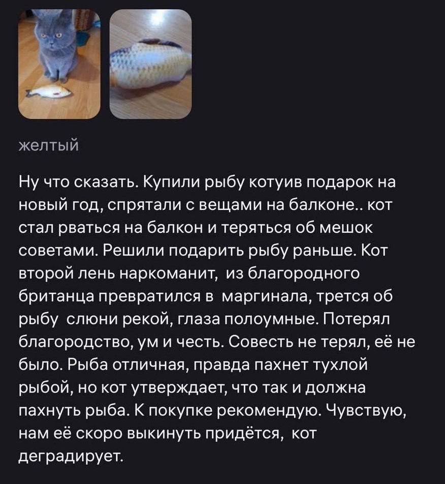 Ну что сказать. Купили рыбу коту в подарок на новый год, спрятали с вещами на балконе.. кот стал рваться на балкон и тереться об мешок с рыбой. Решили подарить рыбу раньше. Кот второй лень наркоманит, из благородного британца превратился в маргинала, трется об рыбу слоновой рукой, глаза полулунные. Потерял благородство, юмор и честь. Совесть не терял, её не было. Рыба отличная, правда пахнет тухлой рыбой, но кот утверждает, что так и должна пахнуть рыба. К покупке рекомендую. Чувствую, нам её скоро выкинуть придется, кот деградирует.