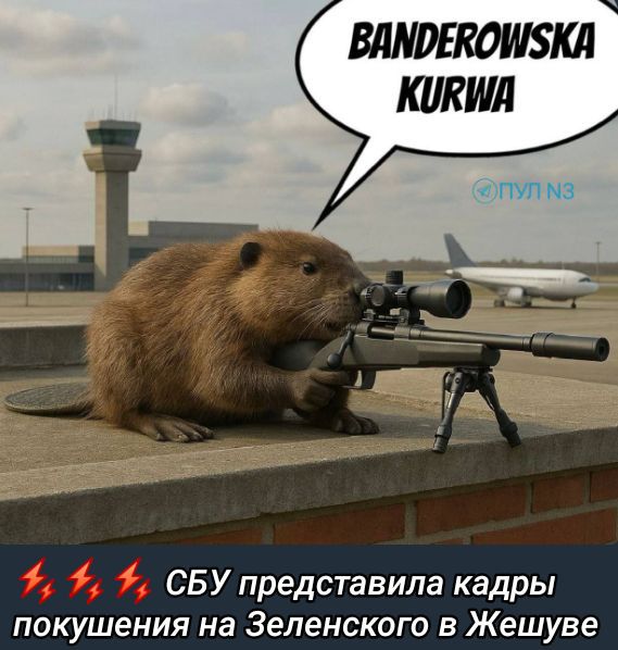 BANDEROWSKA KURWA
СБУ представила кадры
покушения на Зеленского в Жешуве
