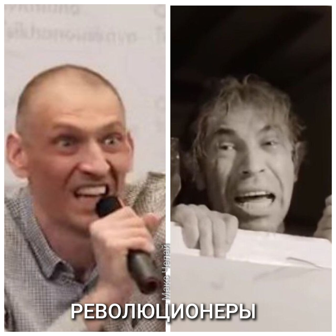 РЕВОЛЮЦИОНЕРЫ