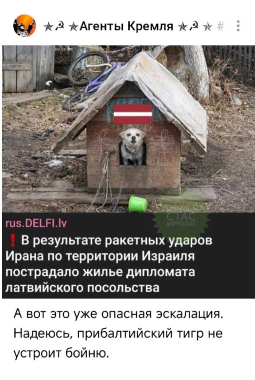 ‼ В результате ракетных ударов Ирана по территории Израиля пострадало жилье дипломата латвийского посольства А вот это уже опасная эскалация. Надеюсь, прибалтийский тигр не устроит войну.