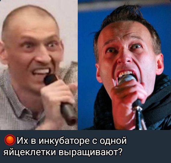 Их в инкубаторе с одной яйцеклетки выращивают?
