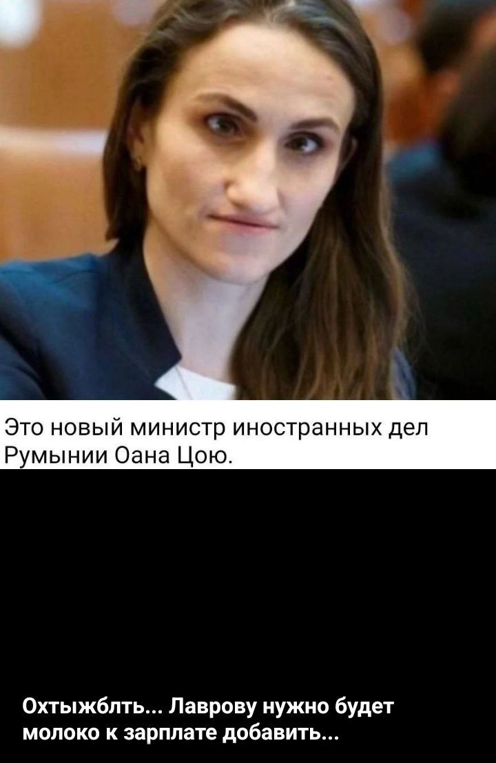 Это новый министр иностранных дел Румынии Оана Цю. Ох ты ж блин... Лаврову нужно будет молоко к зарплате добавить...