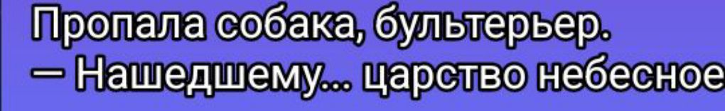 Пропала собака, бультерьер.
— Нашедшему... царство небесное