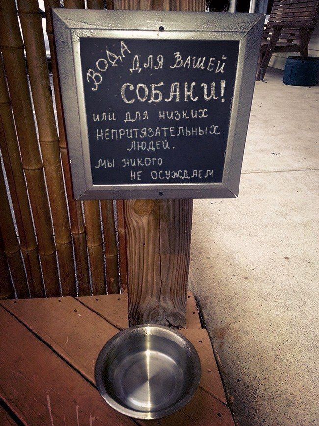 Вода для вашей СОБАКИ! или для низких неприязнательных людей. мы никого не осуждаем