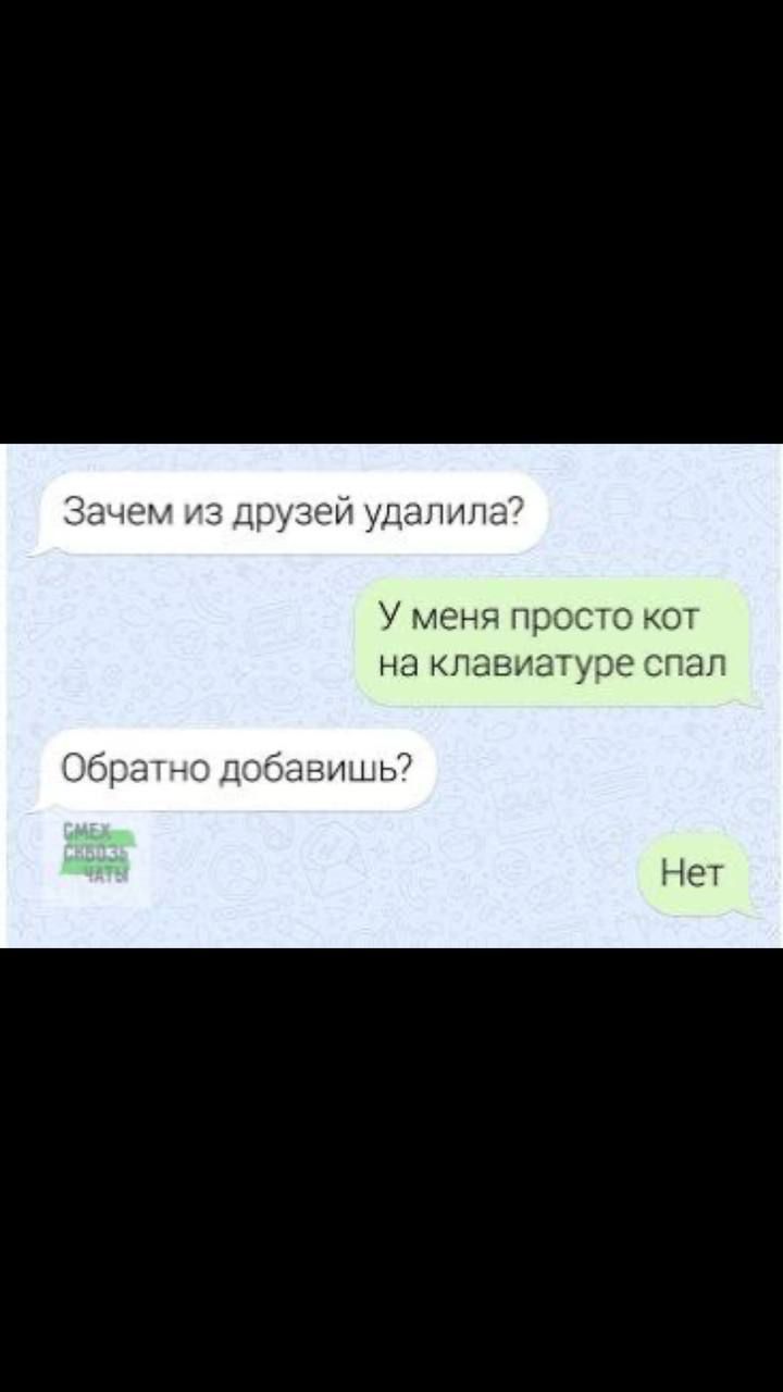 Зачем из друзей удалила?
У меня просто кот на клавиатуре спал
Обратно добавишь?
Нет