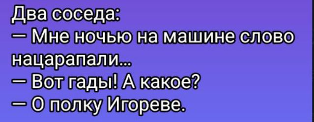 Два соседа:
— Мне ночью на машине слово нацарапали...
— Вот гады! А какое?
— О полку Игореве.