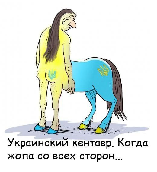 Украинский кентавр. Когда жопа со всех сторон...