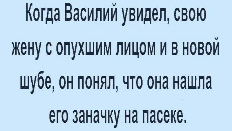 Когда Василий увидел, свою жену с опухшим лицом и в новой шубе, он понял, что она нашла его заначку на пасеке.