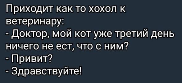 Приходит как то хохол к ветеринару:
- Доктор, мой кот уже третий день ничего не ест, что с ним?
- Привет?
- Здравствуйте!