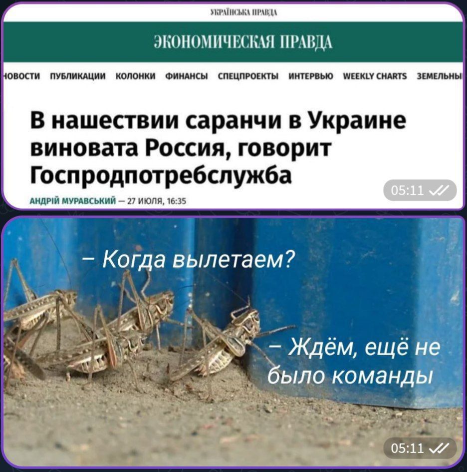 В нашествии саранчи в Украине виновата Россия, говорит Госпотребслужба.
— Когда вылетаем?  
— Ждём, ещё не было команды.