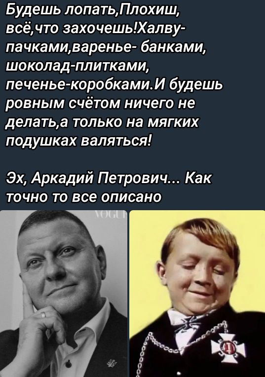 Будешь лопатить, Плохиш, всё, что захочешь! Халву-пачками, варенье-банками, шоколад-плитками, печенье-коробками. И будешь ровным счётом ничего не делать, а только на мягких подушках валяться! Эх, Arkадий Петрович... Как точно то всё описано.