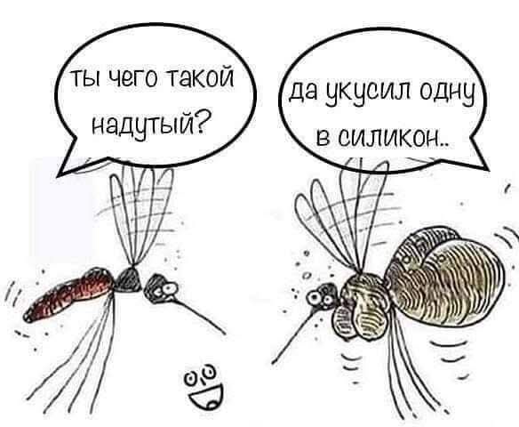 ты чего такой надутый? да укусил одну в силикон..