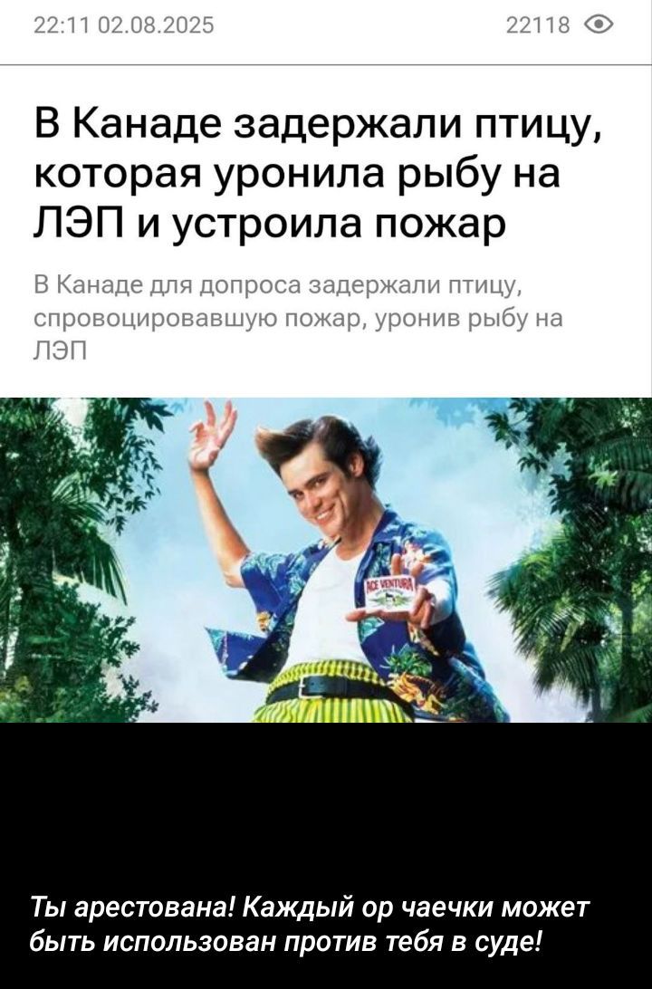 В Канаде задержали птицу, которая уронила рыбу на ЛЭП и устроила пожар

В Канаде для допроса задержали птицу, спровоцировавшую пожар, уронив рыбу на ЛЭП

Ты арестована! Каждый ор чаечка может быть использован против тебя в суде!