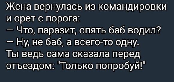 Жена вернулась из командировки и орет с порога:
— Что, паразит, опять баб водил?
— Ну, не баб, а всего-то одну.
Ты ведь сама сказала перед отъездом: 