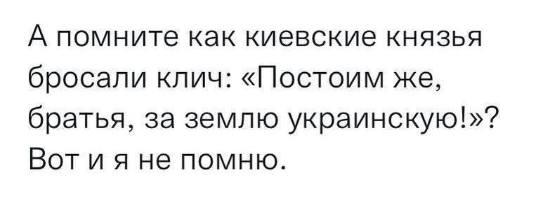 А помните как киевские князья бросали клич: «Постойм же, братья, за землю украинскую!»? Вот и я не помню.