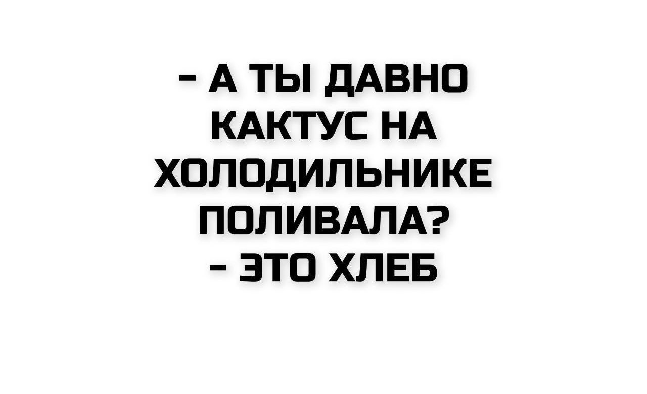 - А ты давно кактус на холодильнике поливала? - Это хлеб