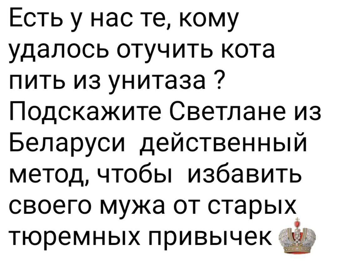 Есть у нас те, кому удалось отучить кота пить из унитаза? Подскажите Светлане из Беларуси действенный метод, чтобы избавиться своего мужа от старых тюремных привычек.