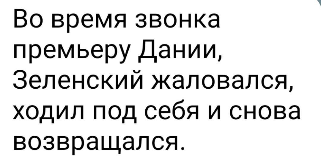 Во время звонка премьеру Дании, Зеленский жаловался, ходил под себя и снова возвращался.