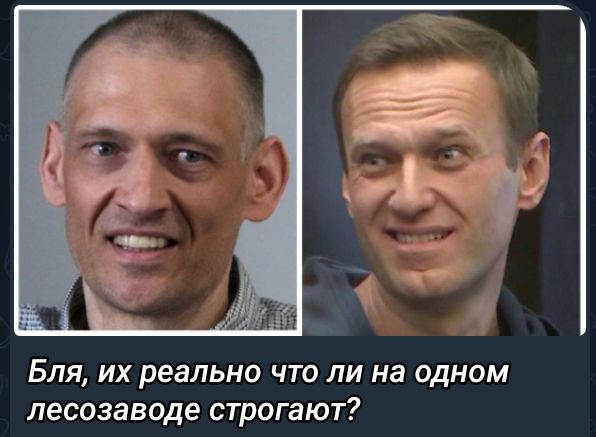 Бля, их реально что ли на одном лесозаводе строгают?