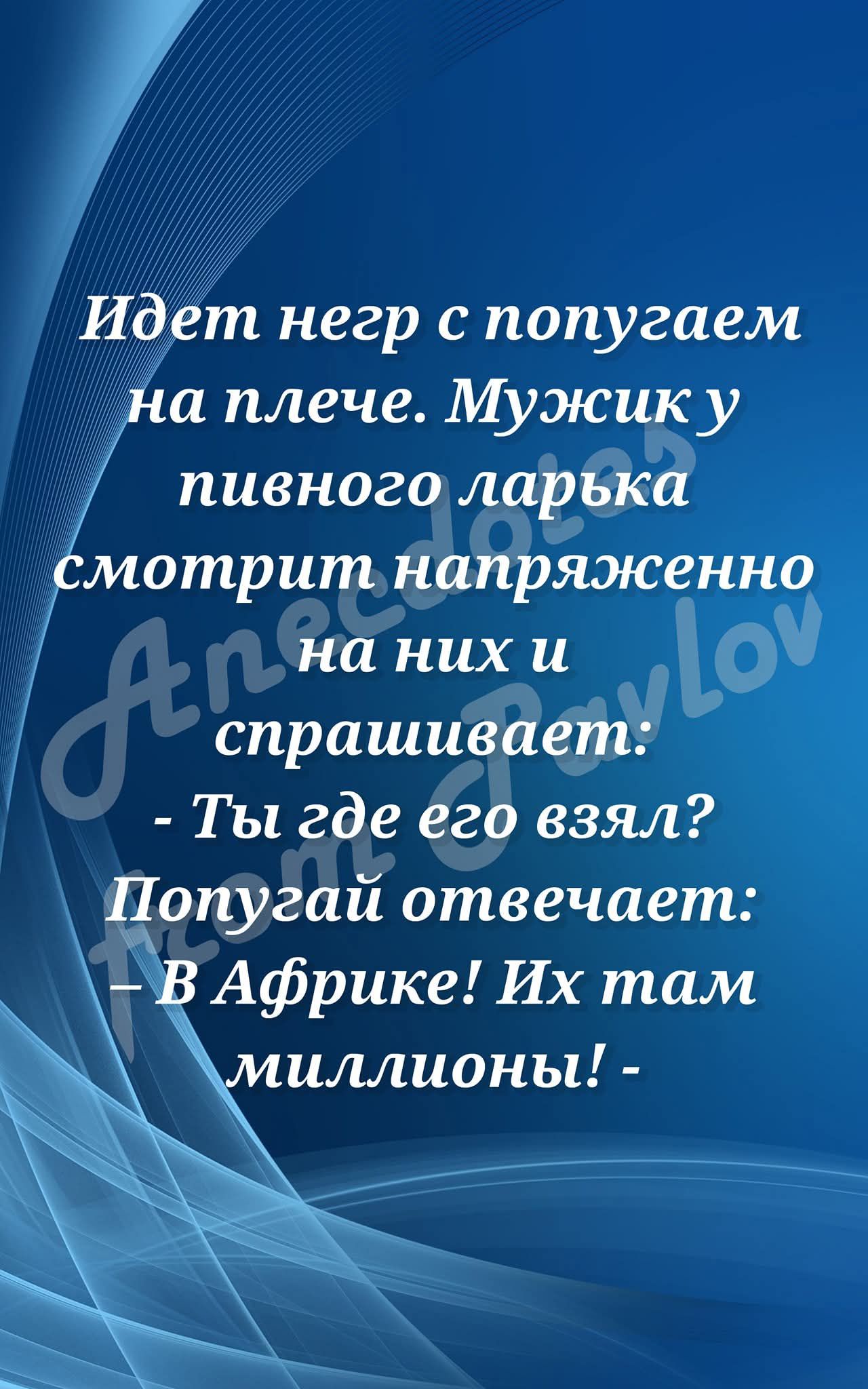 Идет негр с попугаем на плече. Мужик у пивного ларька смотрит напряженно на них и спрашивает:
- Ты где его взял?
Попугай отвечает:
- В Африке! Их там миллионы!
