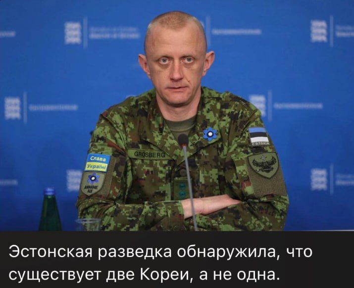 Эстонская разведка обнаружила, что существует две Кореи, а не одна.